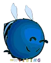 Beevibingplsbuynitro