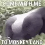 monkeLand