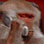 monkewhodis