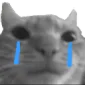 Cat_Sad