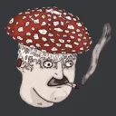 vovashockgif