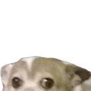 anm_chiwalurk Discord emoji