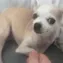 katehandshake