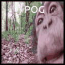 lickingcamera