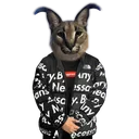 floppadrip floppadrip
