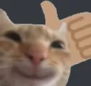 ot_catthumbsup Discord Emoji