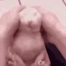 animatedBingus