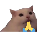 GatoPray_Dw Discord emoji