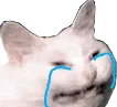 occ_cat_cry