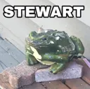 stewart