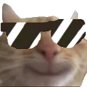 HC_SwagCool