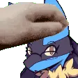 petReazy