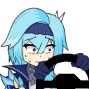 EulaSTEER