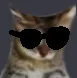 Sunglasses Cat Discord Emoji