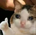 cat_ok