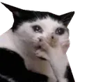 omgno