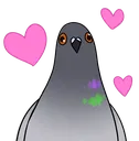 pidgelove