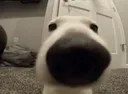 huh huh