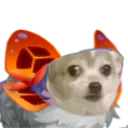 sonnorsmallconcern