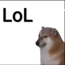 OP_lololol