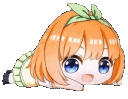 yotsuba