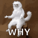why