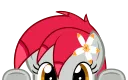 tiny_stalking