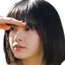 LisaSearch