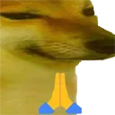 Dorime