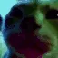 dc_catboomer