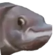 PauseFish