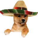 maxydog