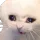 cat_cry Discord Emoji