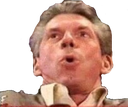 3856vincegasm