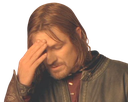 6132boromirfacepalm