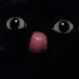 mlep mlep
