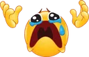 why_crying Discord Emoji