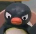 PinguAngry