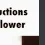 3_