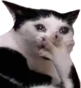 khok khok