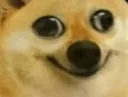 dumbodog dumbodog