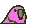 wave8parrot