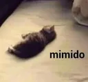 mimido
