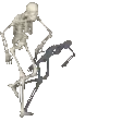 skelly