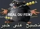 real_ou_faki