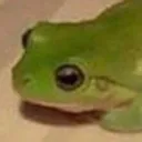 bro