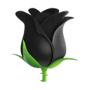 blackrose