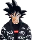 HC_Swagku