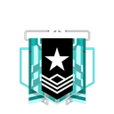 Platinum Discord emoji