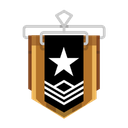 Bronze Discord emoji